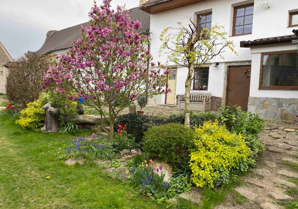 Domov - Bohunka a Jiří